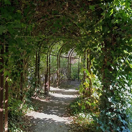 Large In With A Beautiful Garden View